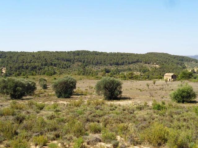 Casa Rural en venta en Bajo Aragón-Caspe / Baix Aragó-Casp, Aragón