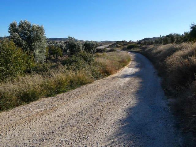 Casa Rural en venta en Bajo Aragón-Caspe / Baix Aragó-Casp, Aragón