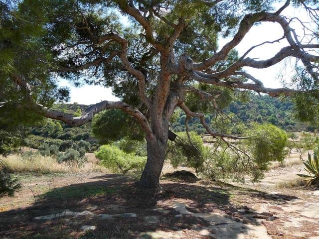 Casa Rural en venta en Bajo Aragón-Caspe / Baix Aragó-Casp, Aragón