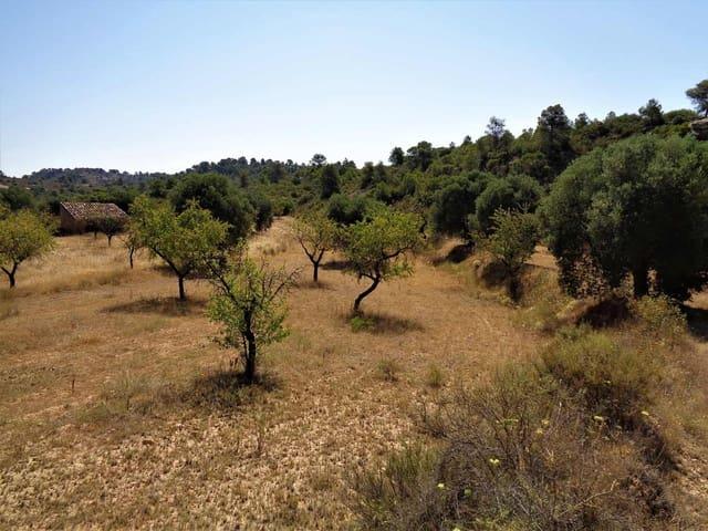 Casa Rural en venta en Maella