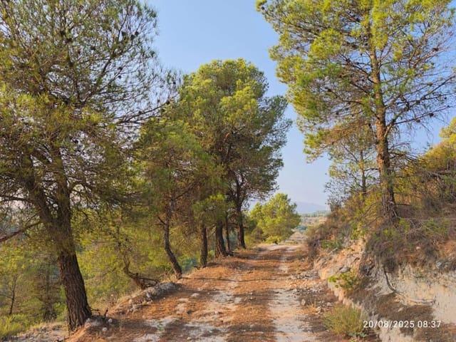 Casa Rural en venta en Los Vélez, Andalucía