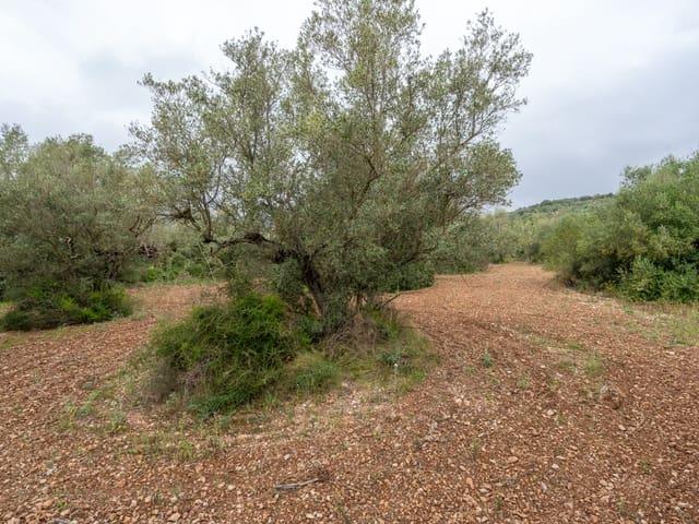 Casa Rural en venta en Montsià, Catalunya