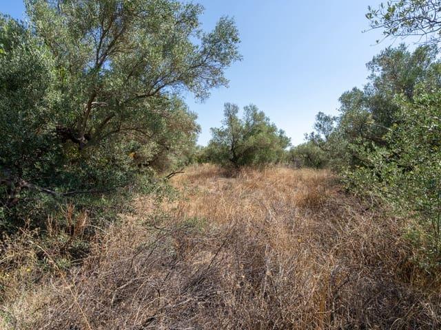 Casa Rural en venta en Mas De Barberans, Tarragona
