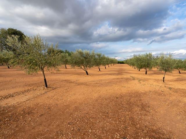 Casa Rural en venta en Montsià, Catalunya