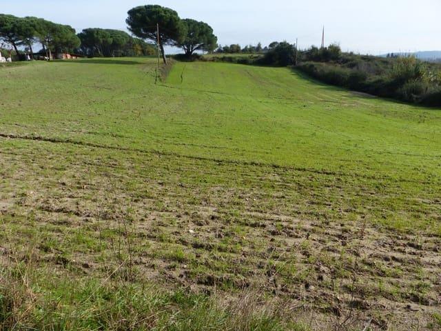Casa Rural en venta en la Selva, Catalunya