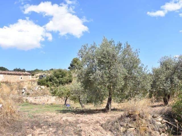 Casa Rural en venta en Matarraña / Matarranya, Mazaleón