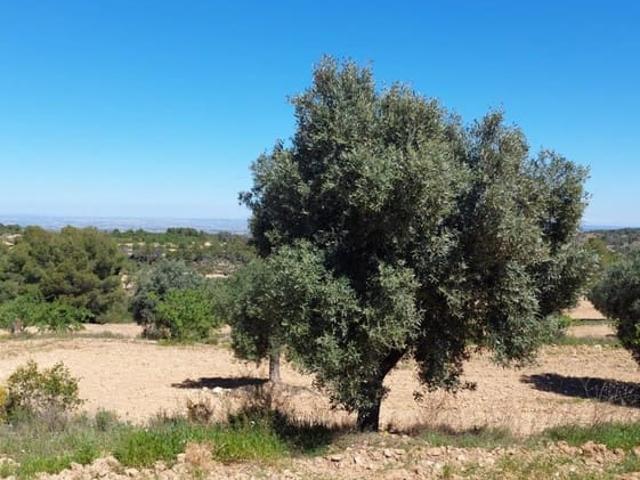 Casa Rural en venta en Matarraña / Matarranya, Mazaleón