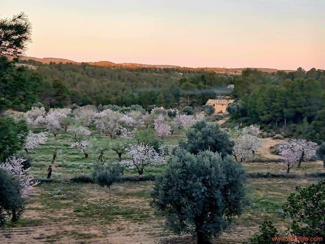 Casa Rural en venta en Matarraña / Matarranya, Mazaleón