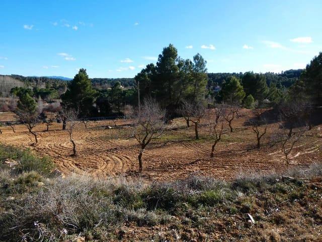 Casa Rural en venta en Matarraña / Matarranya, Mazaleón