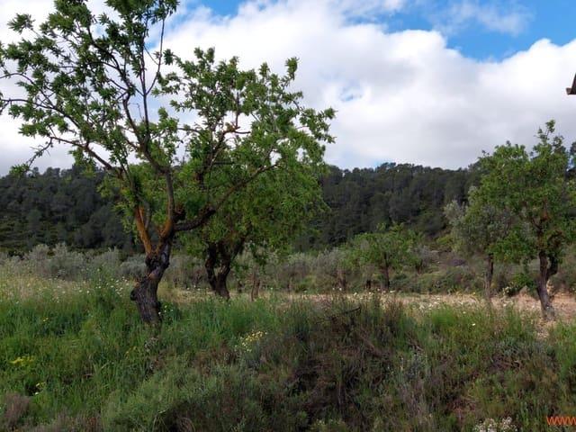 Casa Rural en venta en Matarraña / Matarranya, Mazaleón
