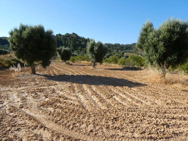 Casa Rural en venta en Matarraña / Matarranya, Mazaleón