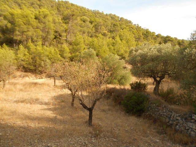 Casa Rural en venta en Mequinenza / Mequinensa, Zaragoza