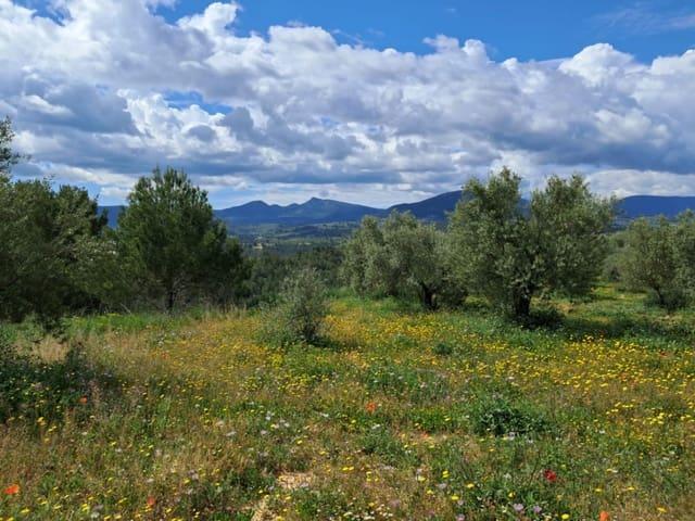 Casa Rural en venta en el Comtat, Valencia