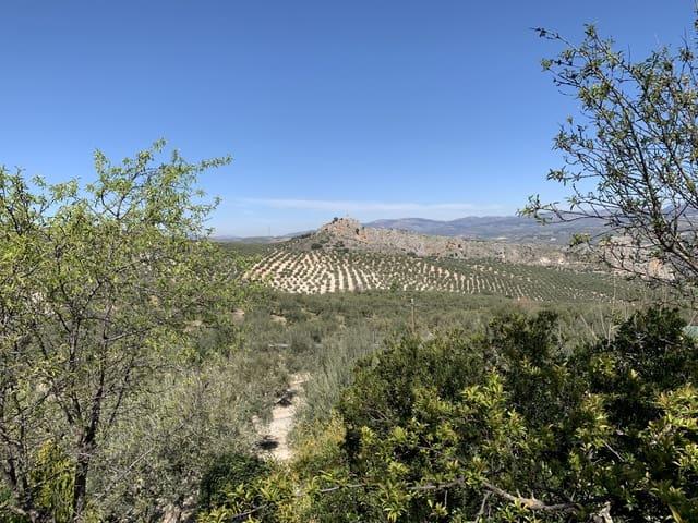 Casa Rural en venta en Comarca de Loja, Andalucía