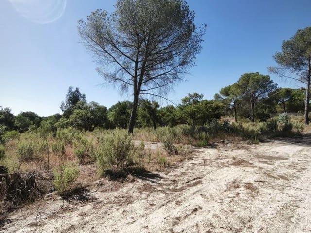 Casa Rural en venta en Comarca Metropolitana de Huelva, Andalucía
