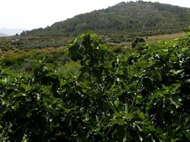 Casa Rural en venta en Comarca de la Costa Granadina, Andalucía