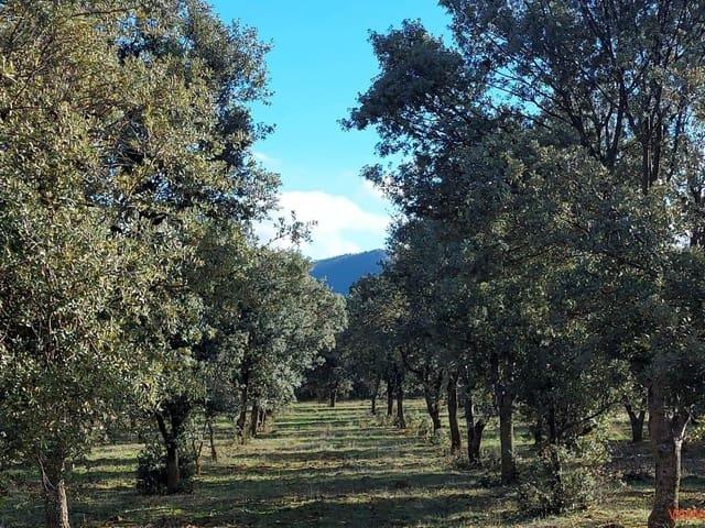 Casa Rural en venta en Matarraña / Matarranya, Monroyo