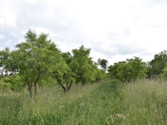 Casa Rural en venta en Matarraña / Matarranya, Monroyo