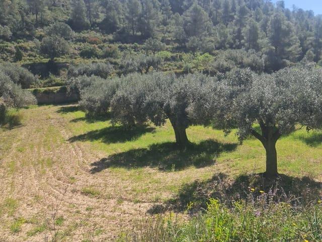 Casa Rural en venta en Ribera d'Ebre, Catalunya