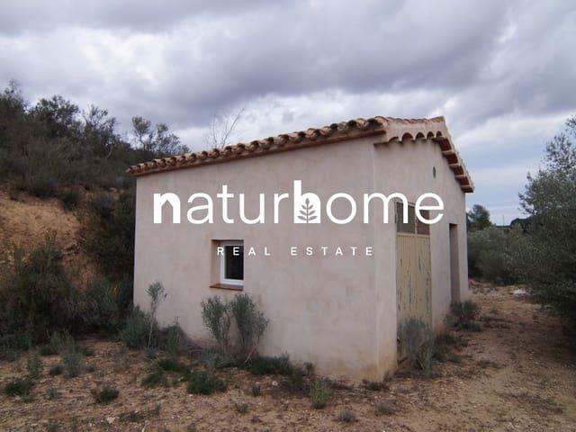 Casa Rural en venta en Ribera d'Ebre, Catalunya
