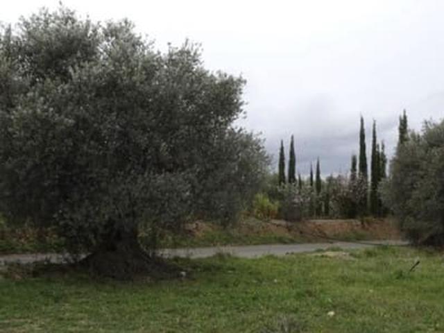 Casa Rural en venta en Ribera d'Ebre, Catalunya