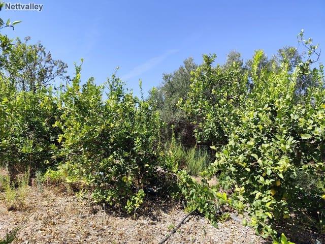 Casa Rural en venta en Talará, Comarca del Valle de Lecrín
