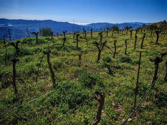 Casa Rural en venta en Laroles, Comarca de la Alpujarra Granadina