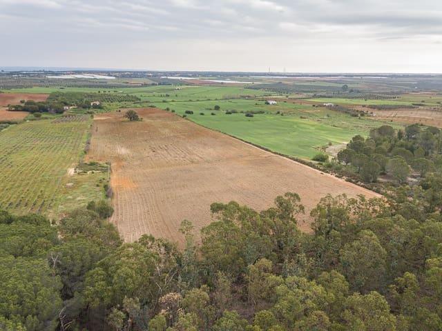 Casa Rural en venta en Niebla