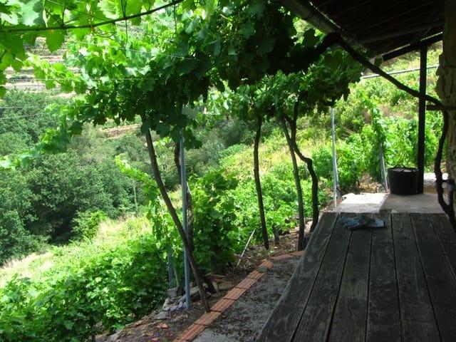 Casa Rural en venta en O Saviñao, Terra de Lemos