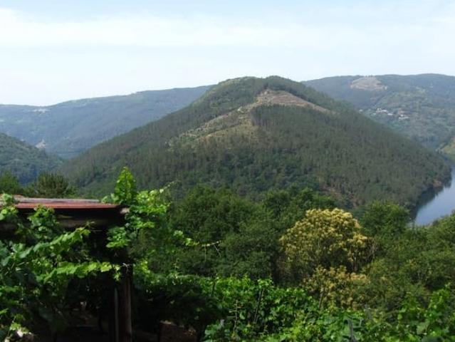 Casa Rural en venta en O Saviñao, Terra de Lemos