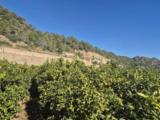 Casa Rural en venta en la Safor, Valencia
