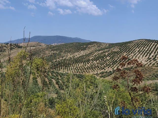 Casa Rural en venta en Sierra de Cádiz, Andalucía
