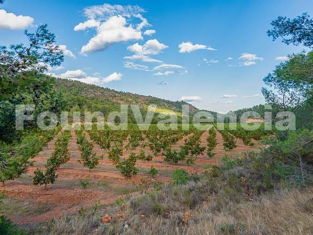 Casa Rural en venta en la Plana Baixa, Valencia