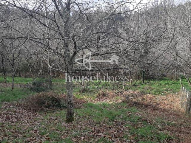 Casa Rural en venta en A Preguiza, Ortegal