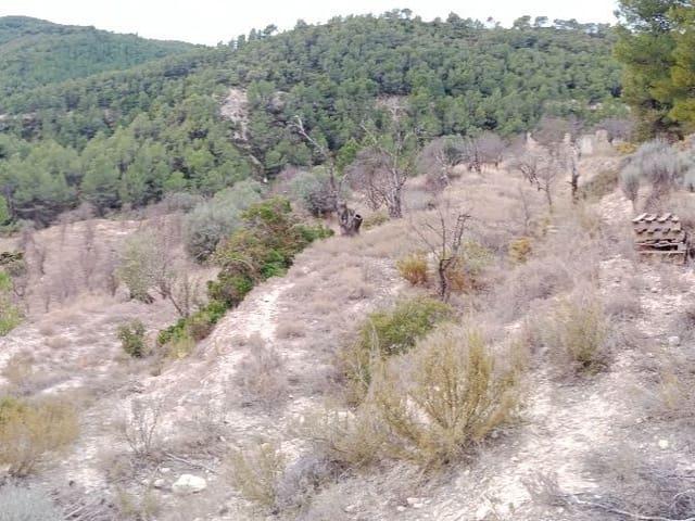 Casa Rural en venta en Parcent