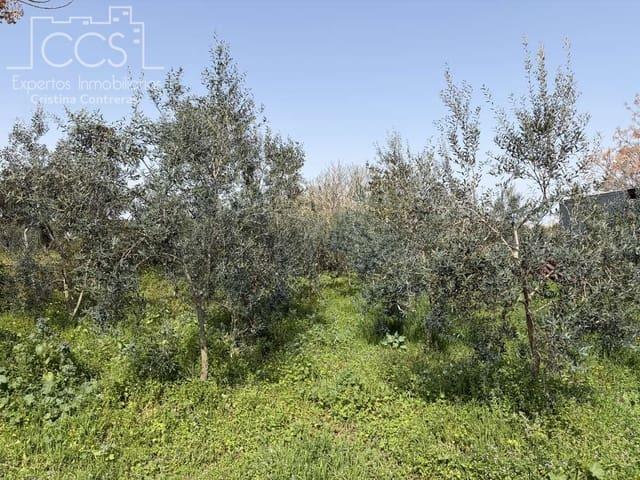 Casa Rural en venta en Pilas, Andalucía