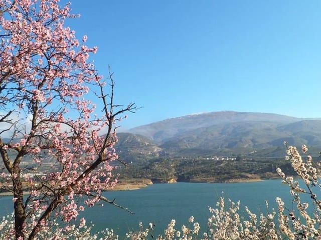 Casa Rural en venta en Pinos del Valle, Comarca del Valle de Lecrín