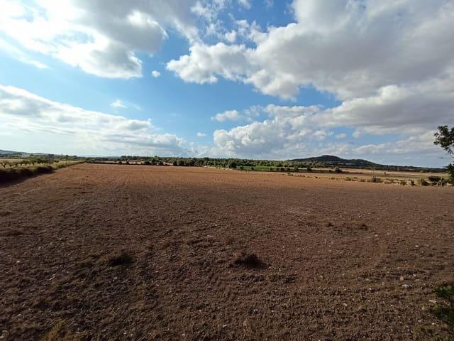 Casa Rural en venta en Pla de Mallorca, Baleares