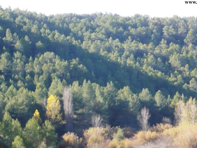 Casa Rural en venta en Matarraña / Matarranya, Ráfales
