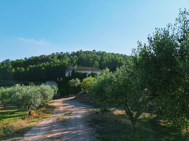 Casa Rural en venta en Rasquera