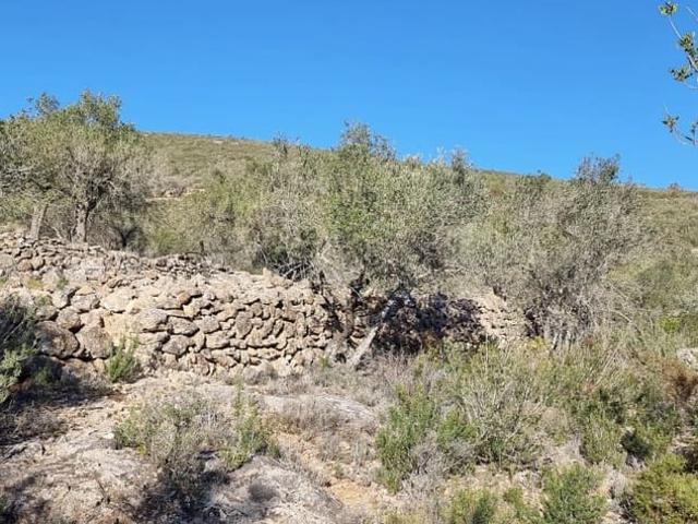 Casa Rural en venta en Ribera d'Ebre, Catalunya