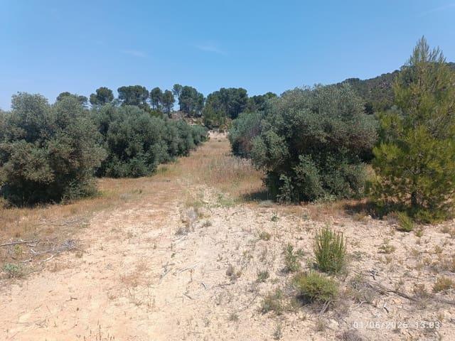 Casa Rural en venta en El Arrabal, La Plana de Utiel-Requena