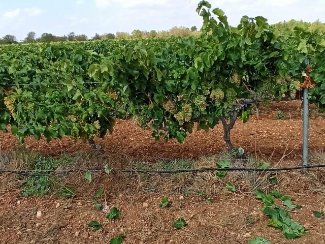 Casa Rural en venta en El Arrabal, La Plana de Utiel-Requena