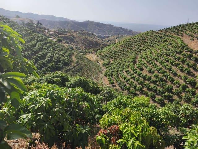 Casa Rural en venta en La Axarquía, Andalucía
