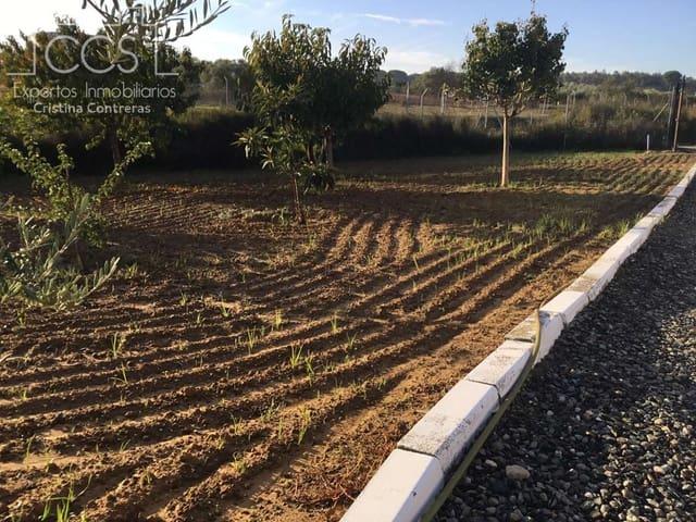 Casa Rural en venta en Rociana Del Condado