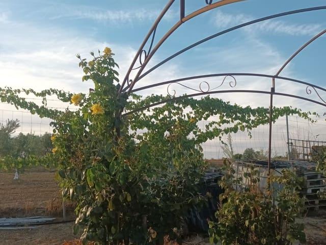 Casa Rural en venta en El Condado, Andalucía