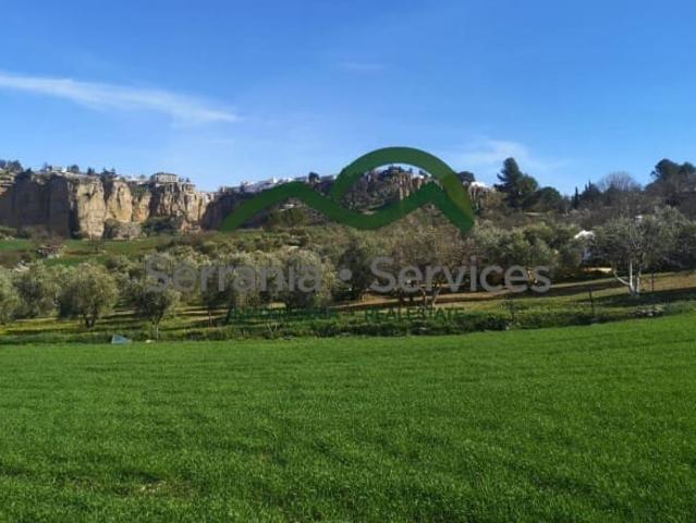 Casa Rural en venta en Ronda