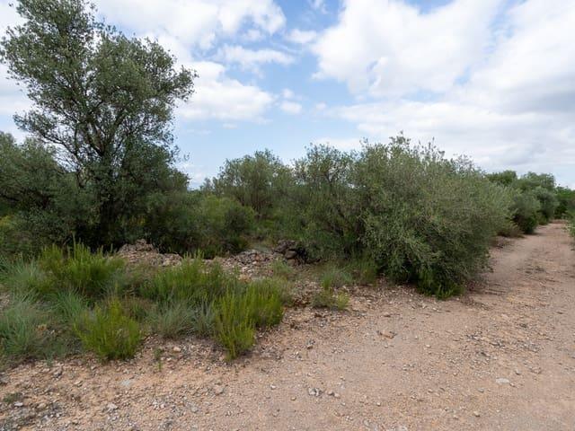 Casa Rural en venta en Baix Ebre, Catalunya
