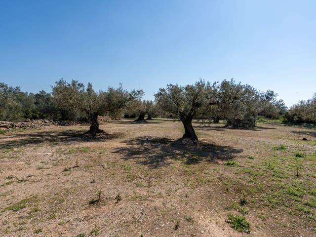 Casa Rural en venta en Baix Ebre, Catalunya