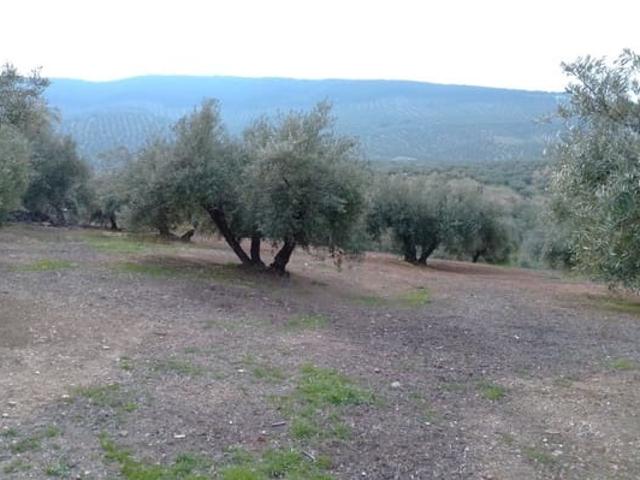 Casa Rural en venta en Alcaudete, Andalucía